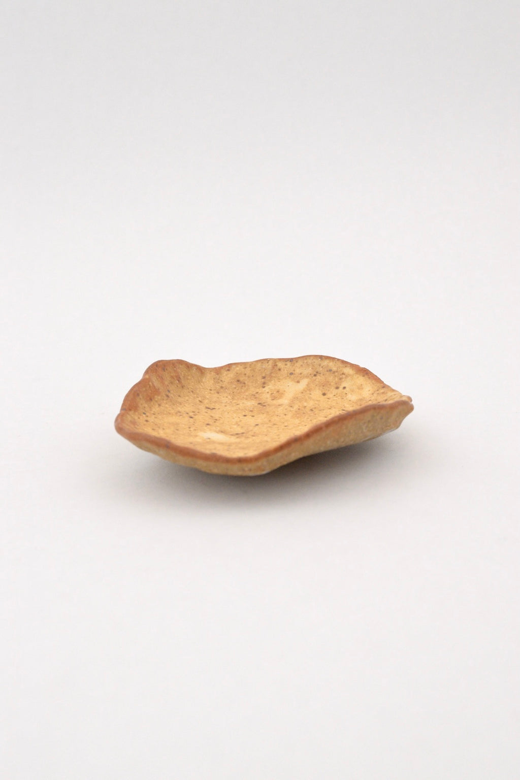 Dune Dish - 1