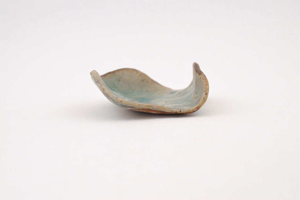 Reef Dish - 2