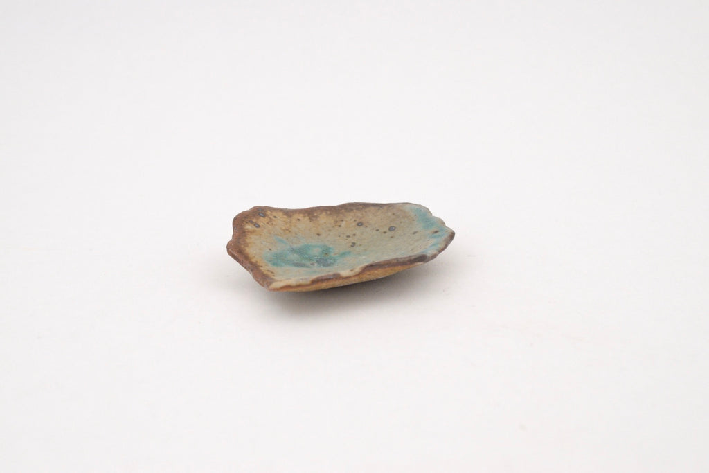 Reef Dish - 3