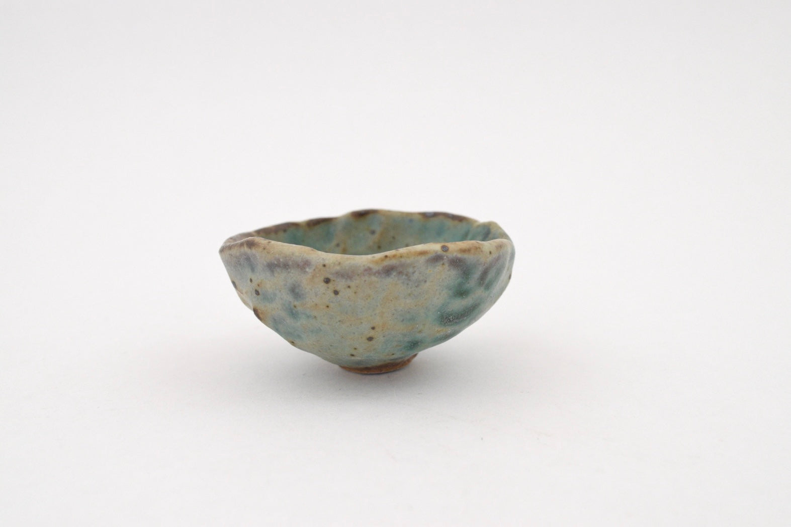 Reef Dish - 1