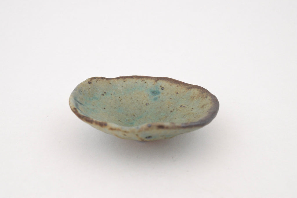 Reef Dish - 4