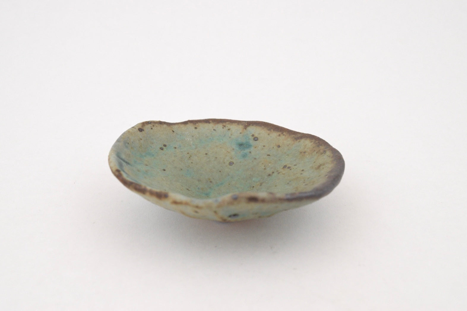 Reef Dish - 4