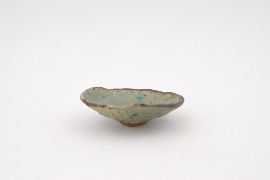 Reef Dish - 4
