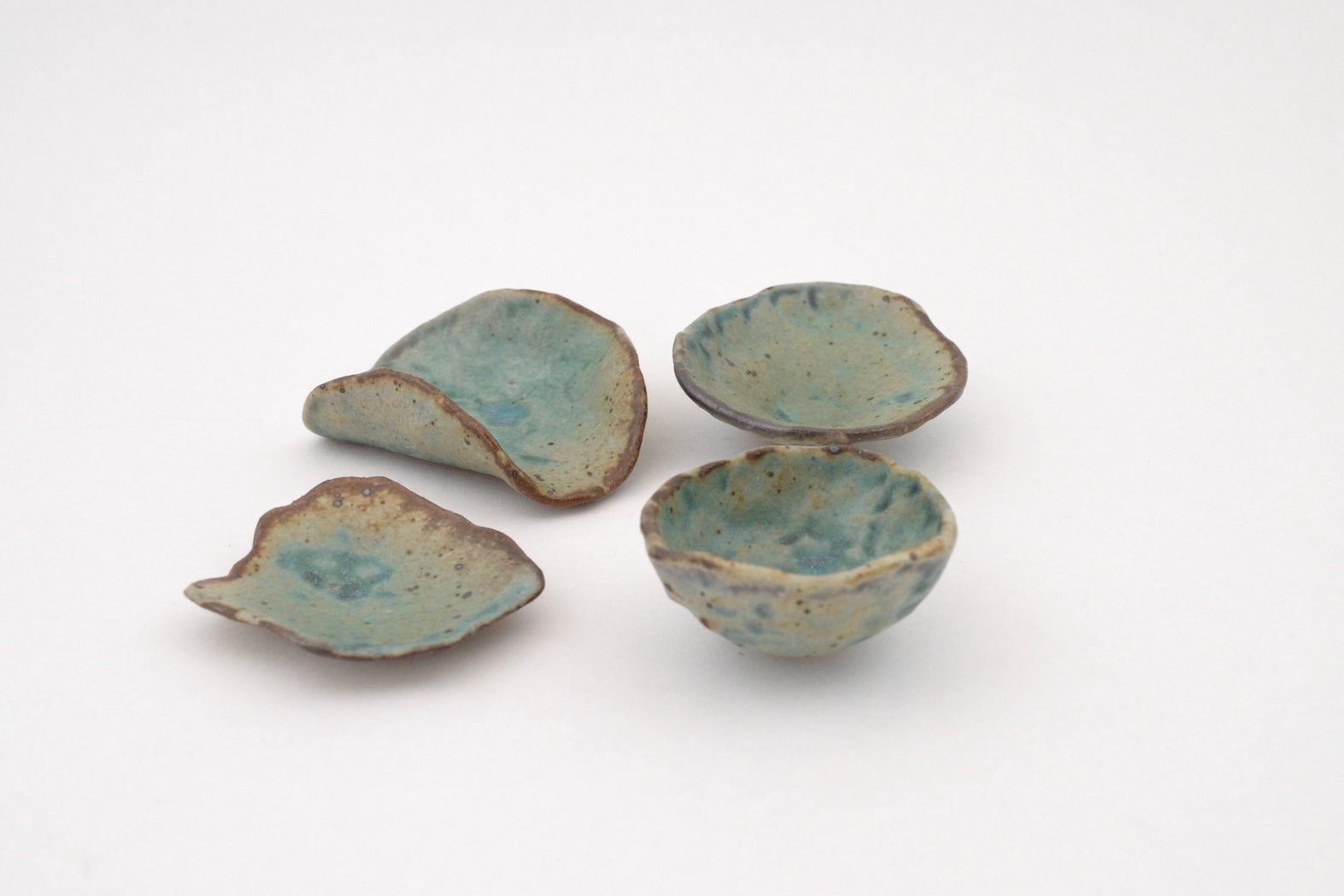 Reef Dish - 1
