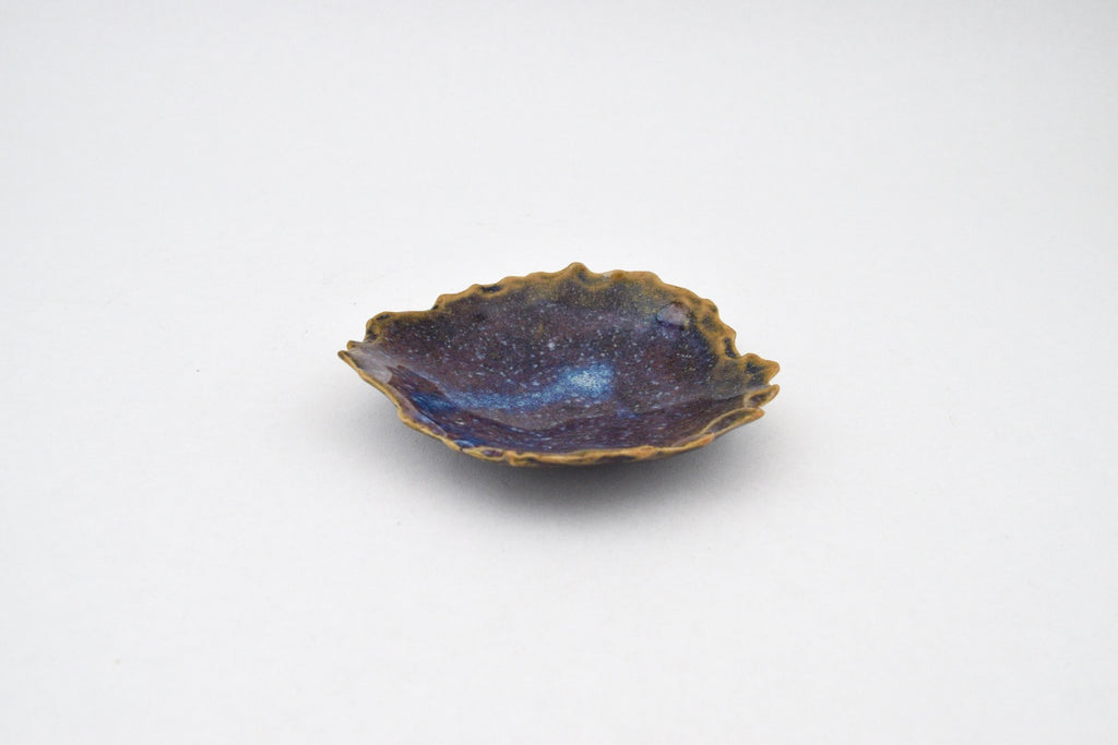 Galaxy Dish - 1