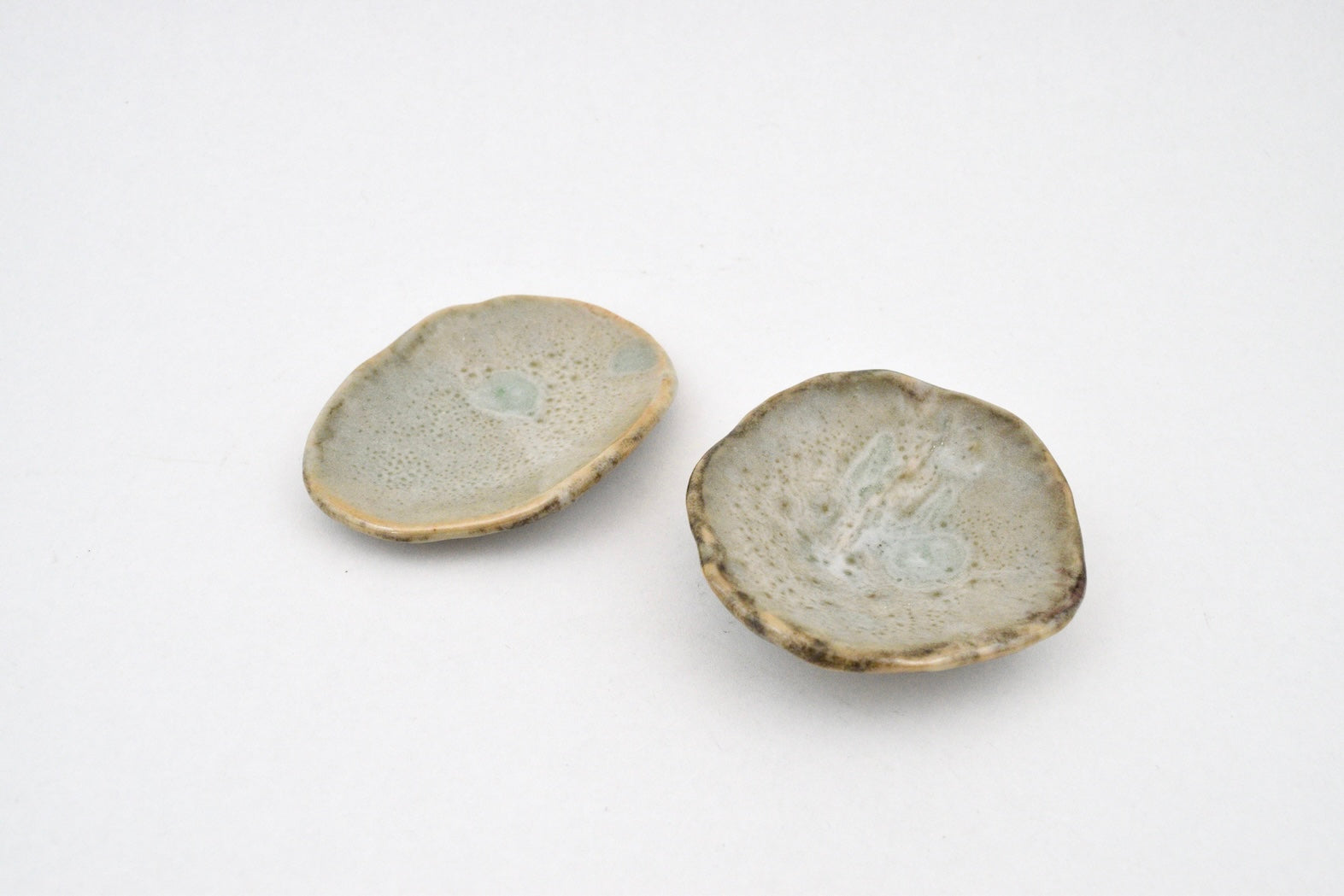 Shell Dish - 1
