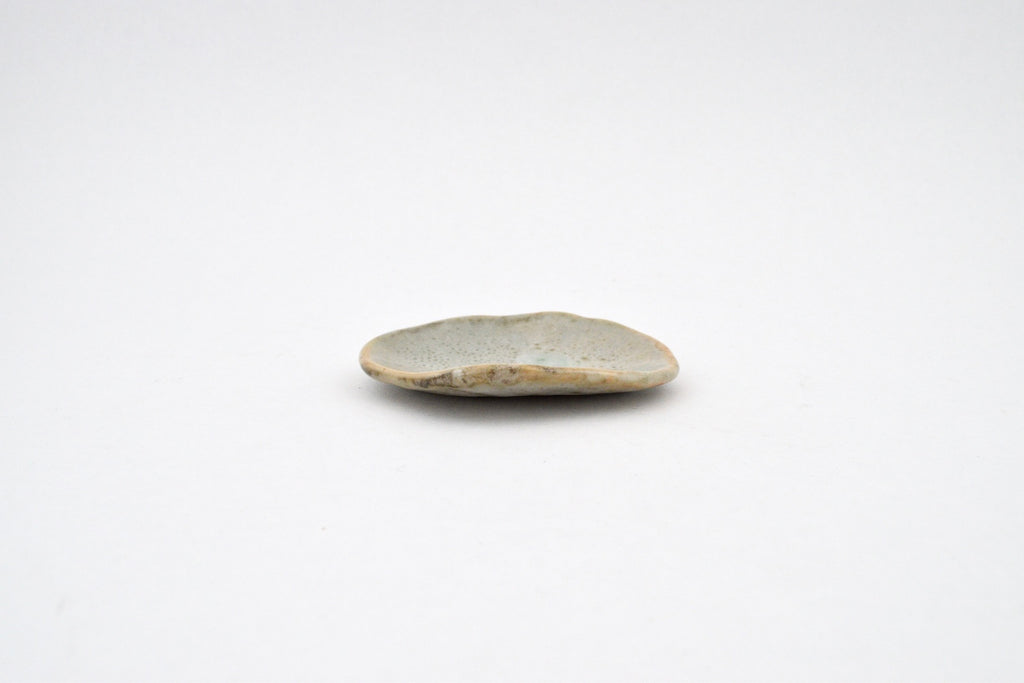 Shell Dish - 2
