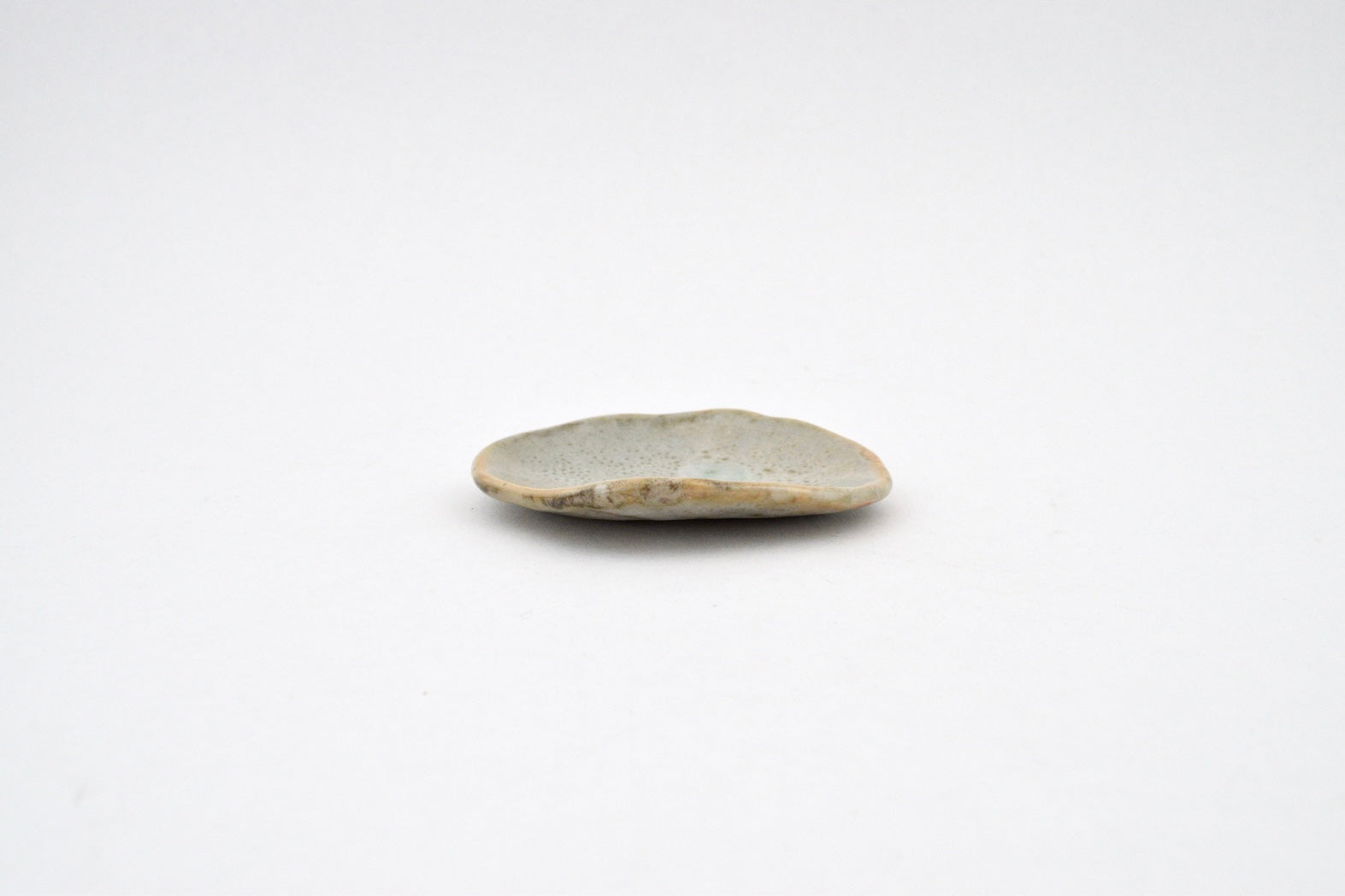 Shell Dish - 2