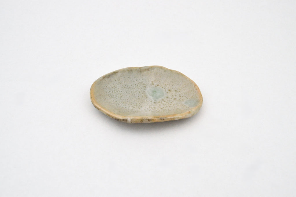 Shell Dish - 2